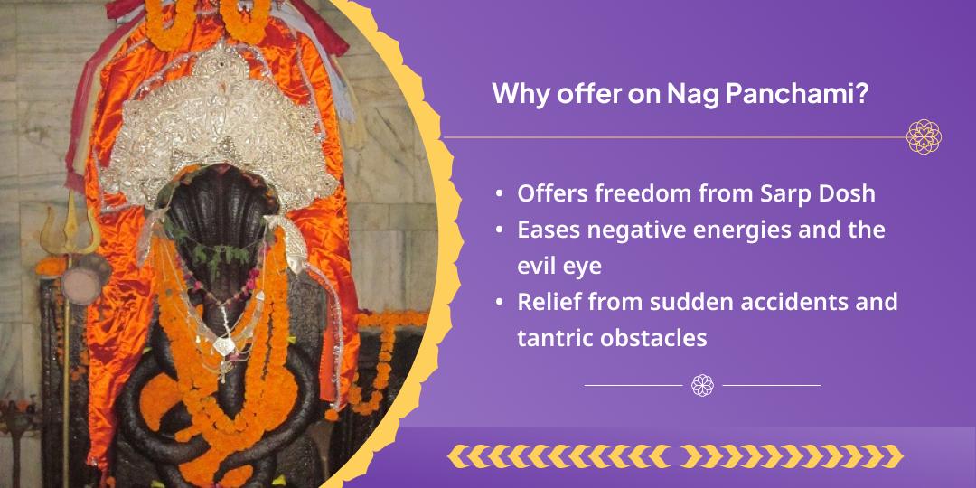  Nag Panchami Sarp Dosh Shanti Naag Vasuki Chadhava 