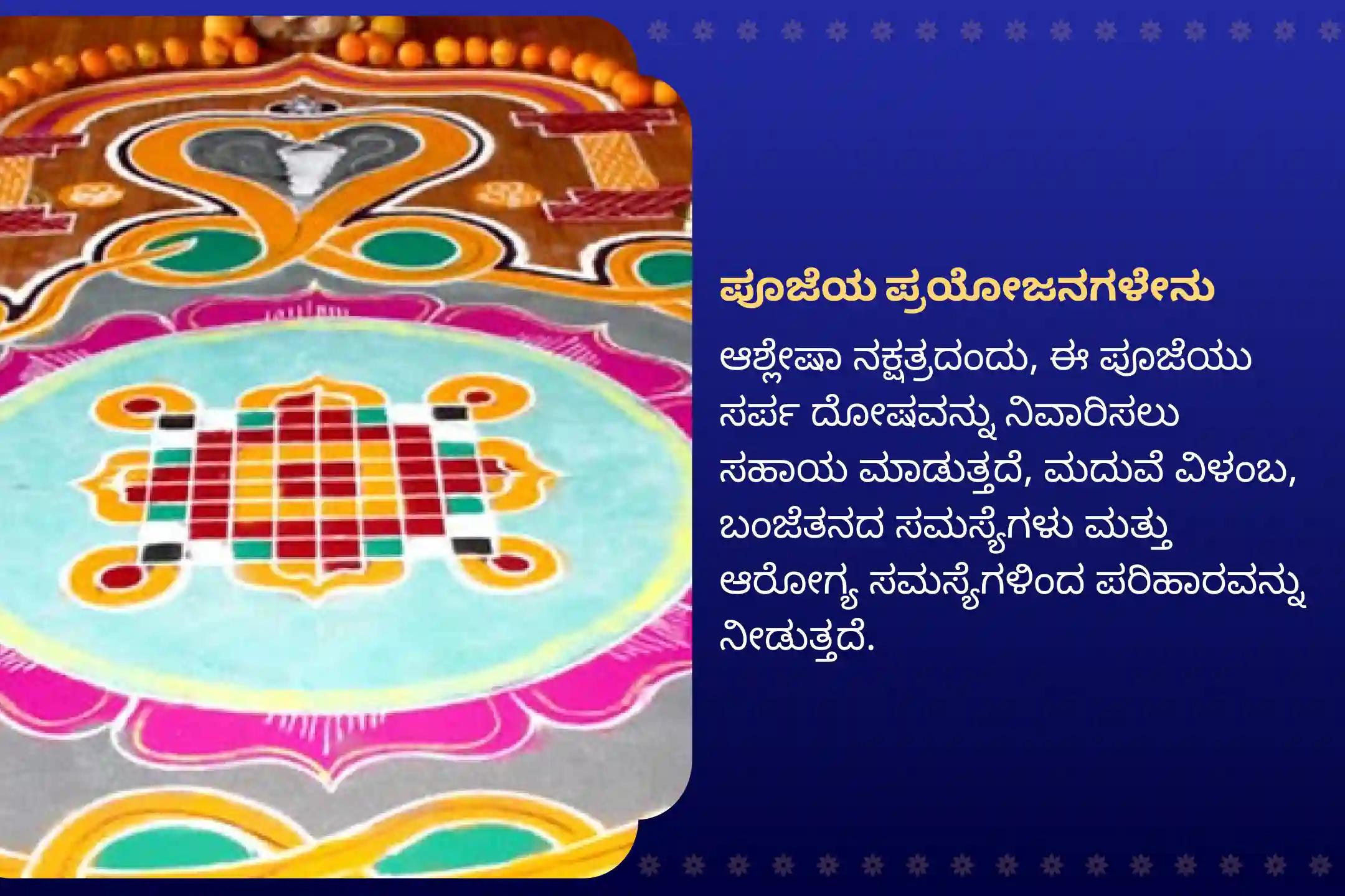 ಸರ್ಪ  ದೋಷದ ದುಷ್ಪರಿಣಾಮಗಳನ್ನು ತೆಗೆದುಹಾಕಲು ಮತ್ತು ಕರ್ಮದ ಪಾಪಗಳನ್ನು ಶುದ್ಧೀಕರಿಸಲು ಆಶ್ಲೇಷಾ ನಕ್ಷತ್ರದ ದಿನದಂದು ಗೋಕರ್ಣದಲ್ಲಿ ನಡೆಯುವ ವಿಶೇಷ ಆಶ್ಲೇಷಾ ನಾಗ ಬಲಿ ಪೂಜೆಯಲ್ಲಿ ಭಾಗವಹಿಸಿ