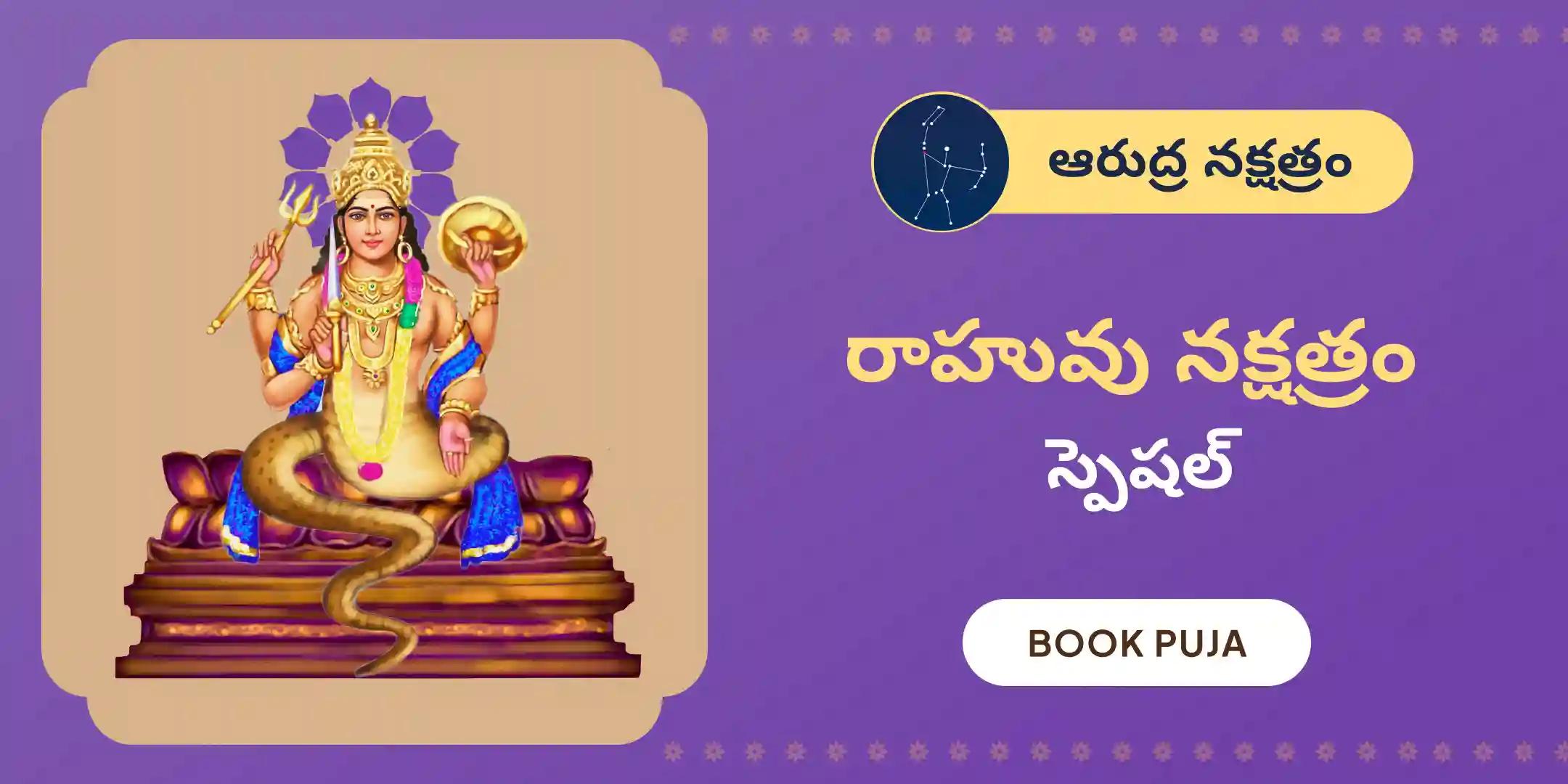 రాహు శాంతి జపం మరియు హోమం