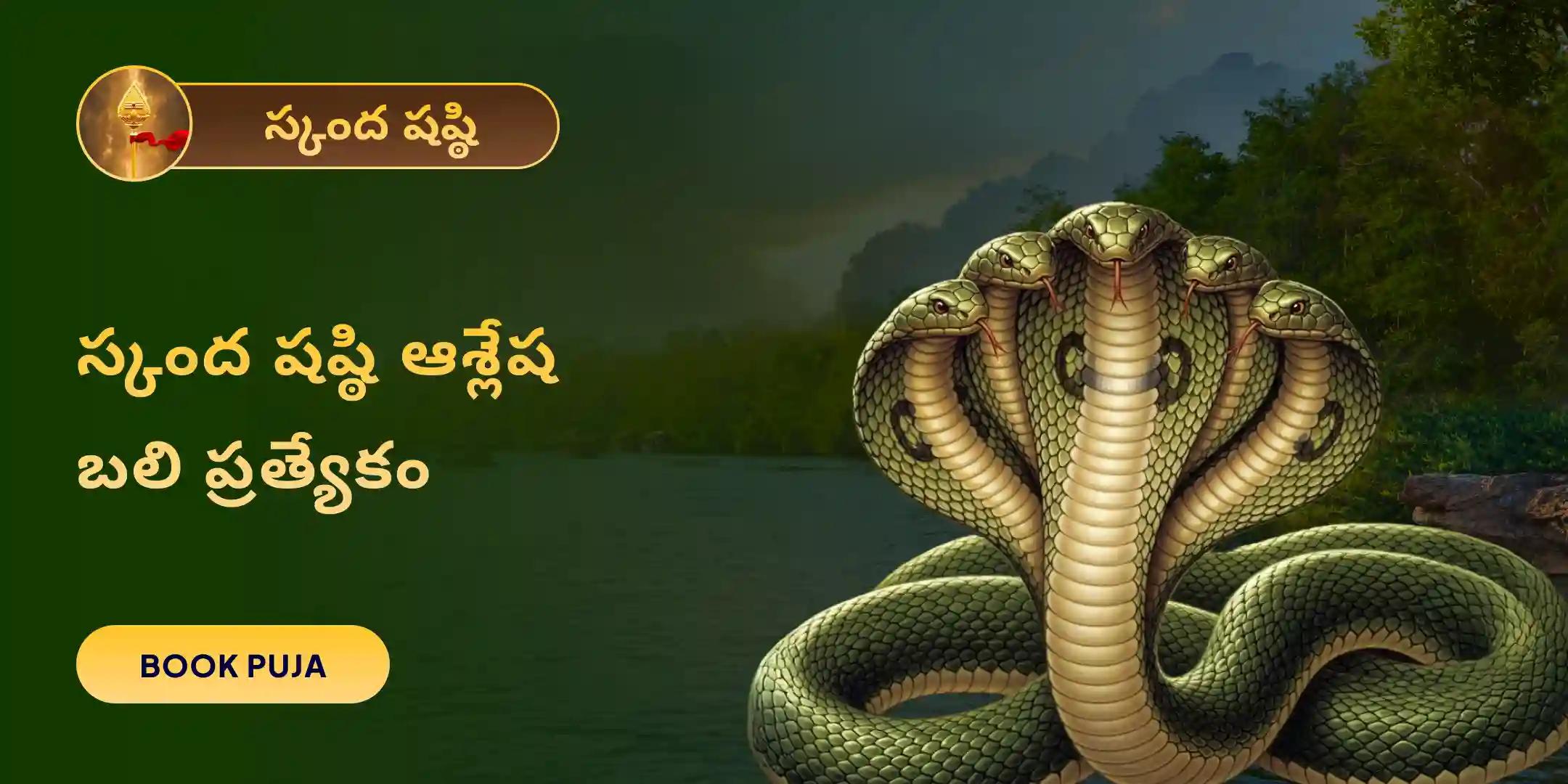 ఆశ్లేష నాగబలి పూజ