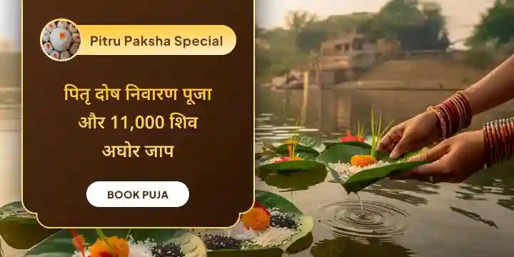 पितृ दोष शांति पूजा और 11,000 शिव अघोर मंत्र जाप