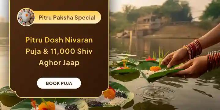 Pitru Dosh Shanti Puja and 11,000 Shiv Aghor Mantra Jaap
