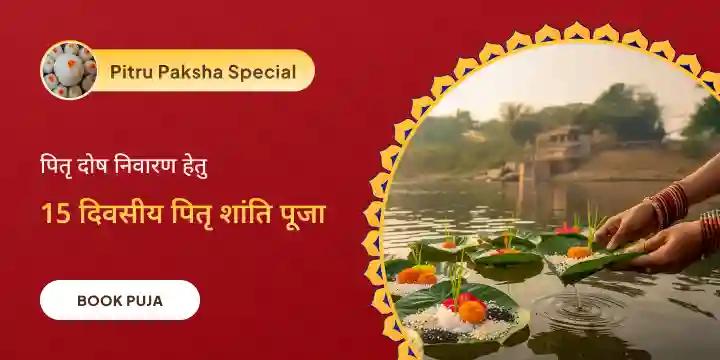 काशी 15 दिव्य दैनिक पितृ दोष शांति महापूजा एवं गंगा आरती