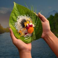 पैकेज 1 package image