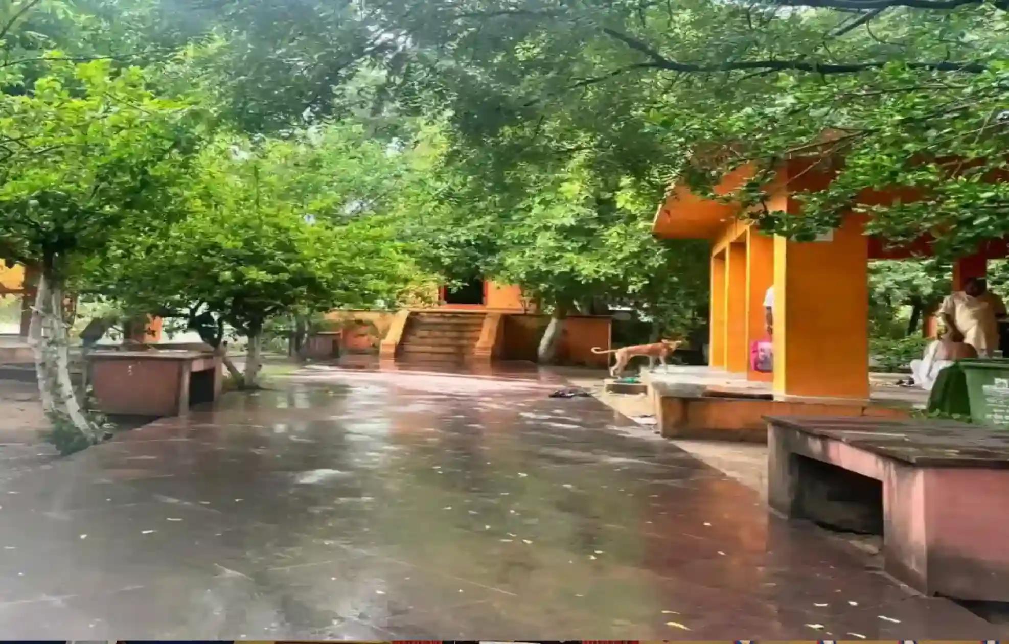 धर्मरायण वेदी, गया, गया, बिहार