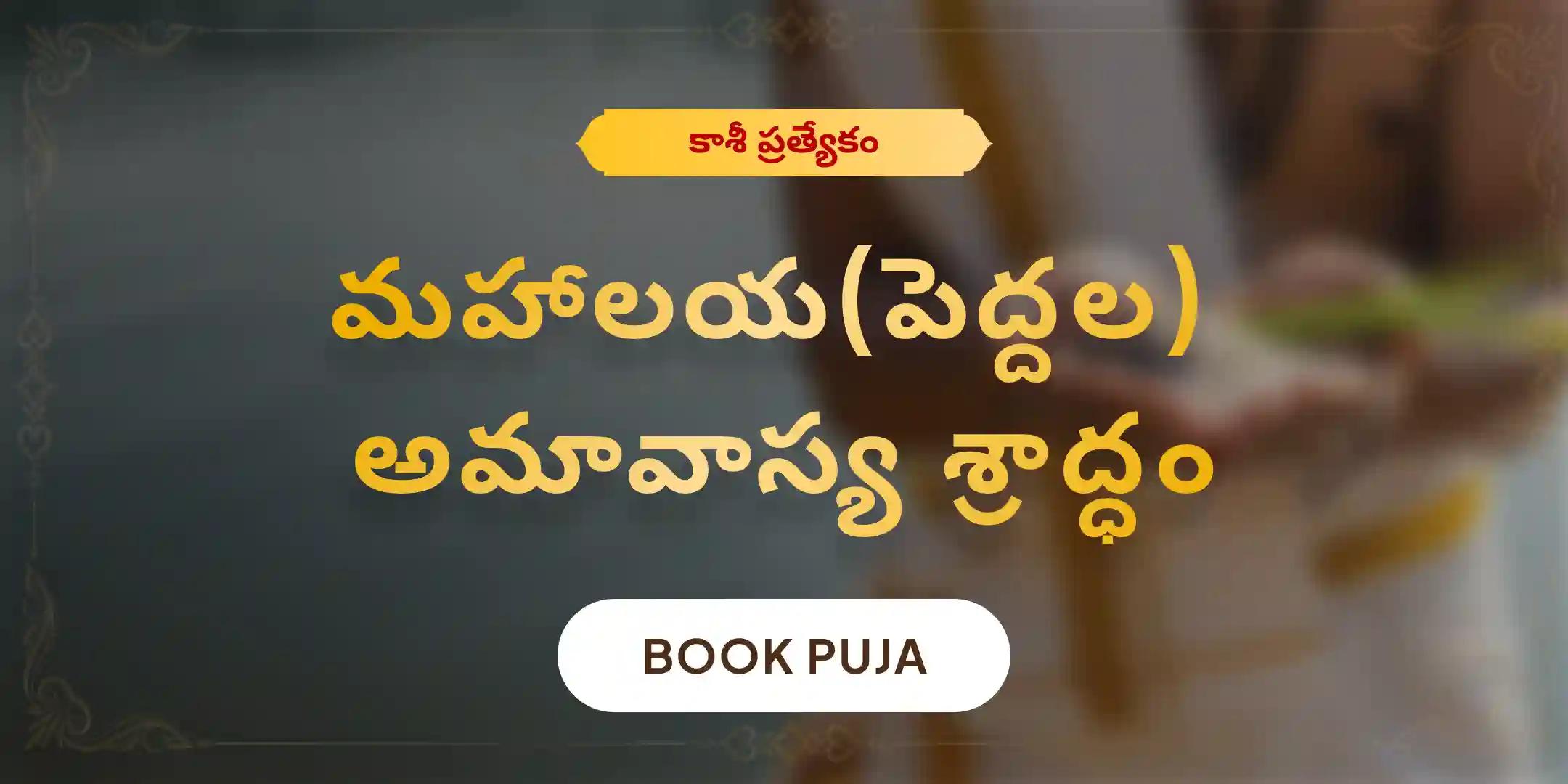 మహాలయ అమావాస్య పితృ దోష శాంతి మహాపూజ మరియు కాశీ గంగా హారతి