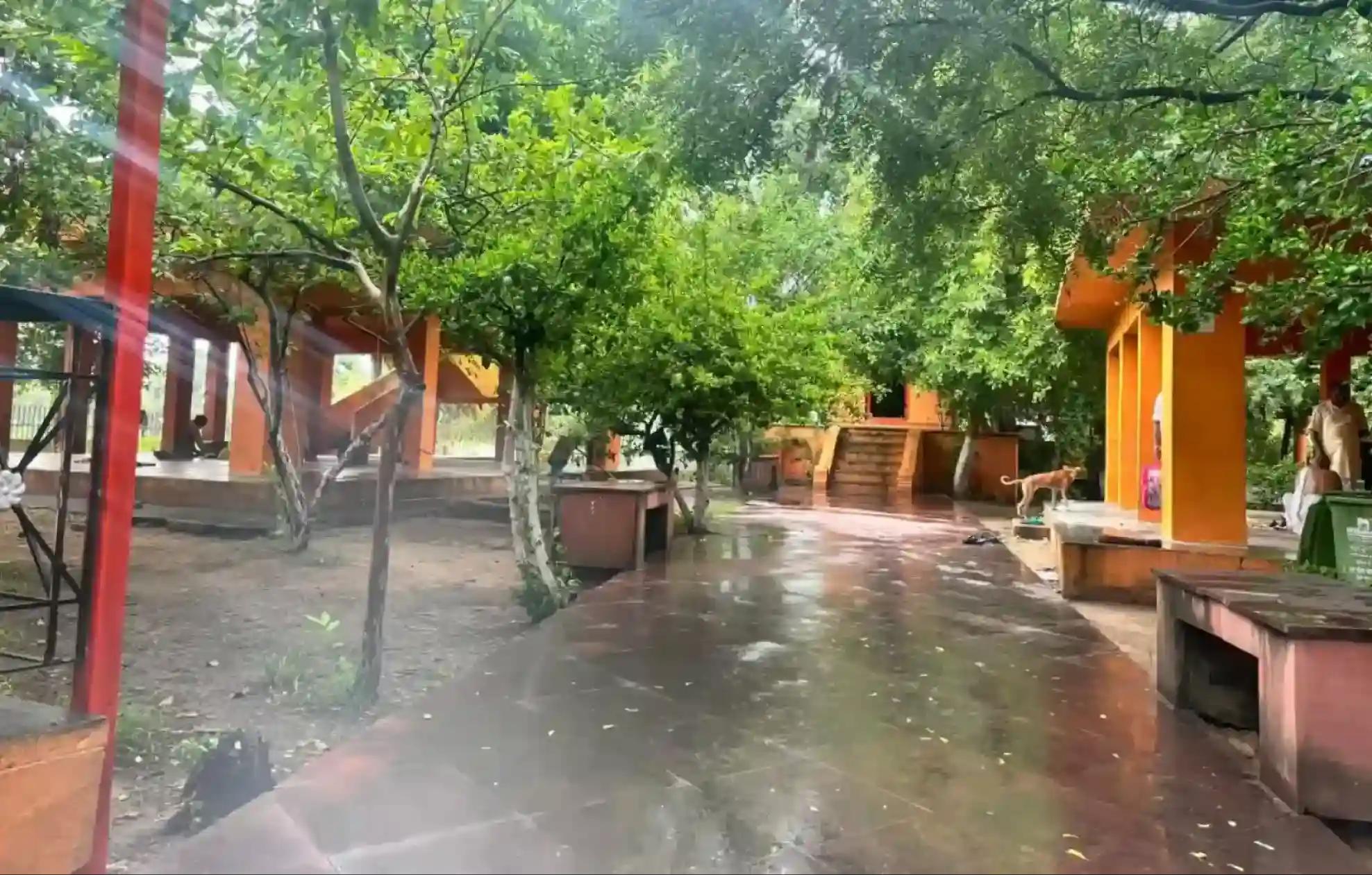 धर्मरायण वेदी, गया, गया, बिहार