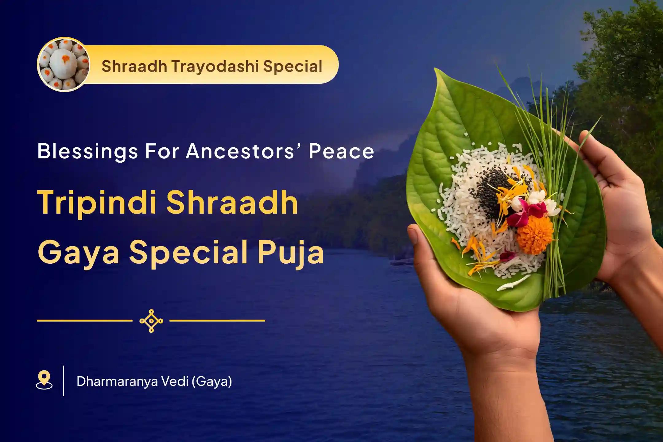 Pind Daan and Tripindi Shraadh Gaya Special Tripindi Shraadh, Pind Daan and Til Tarpanam for Peace of Departed Souls