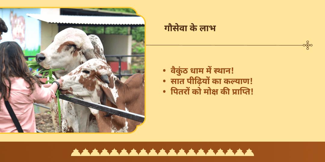 पितृ पक्ष सर्व पितृ अमावस्या कृष्ण जन्मभूमि मथुरा गौ सेवा