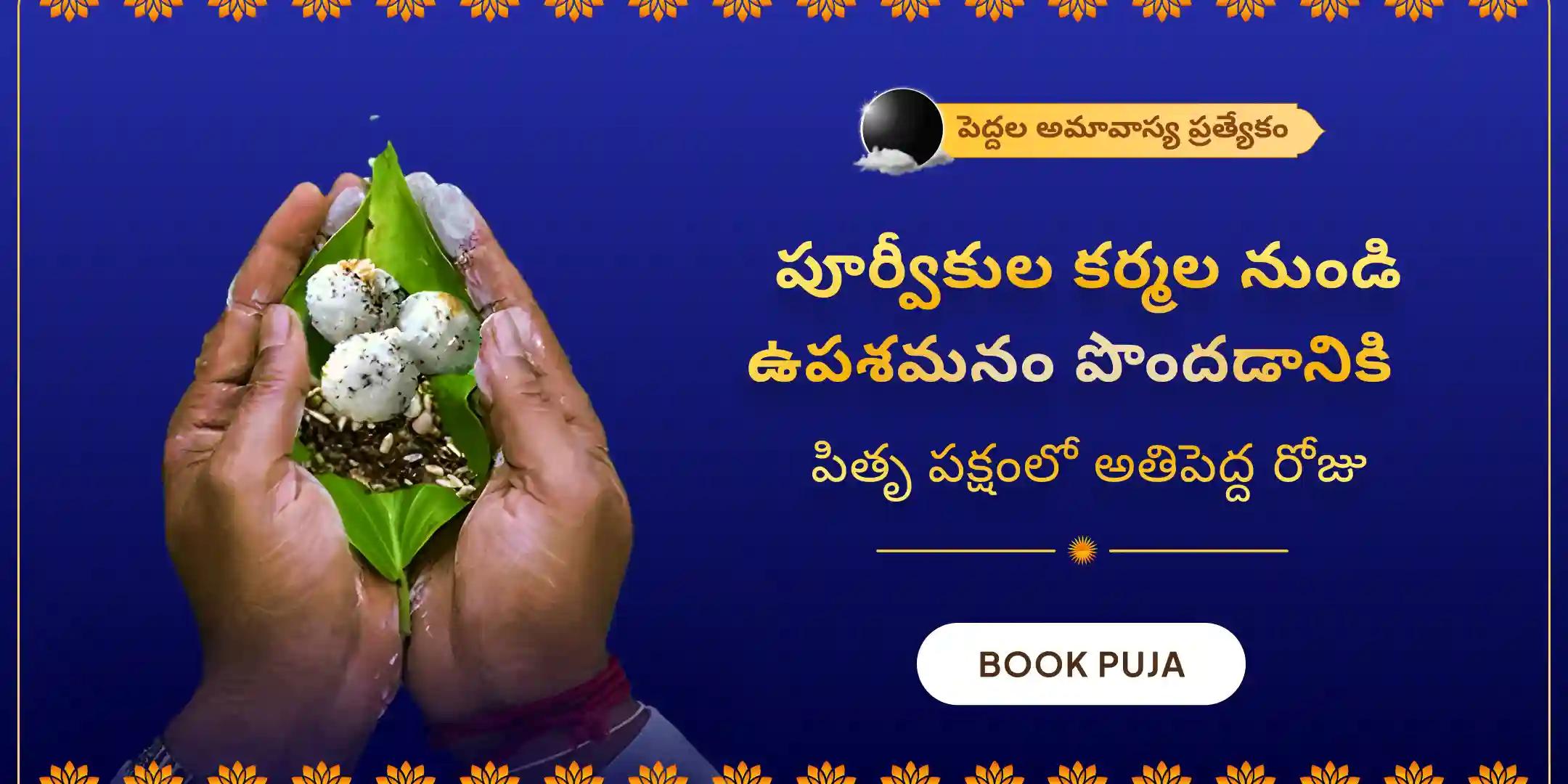 గోకర్ణ-కాశీ-రామేశ్వరం ఘాట్‌ మహాలయ పితృ శాంతి పూజ మరియు హోమం
