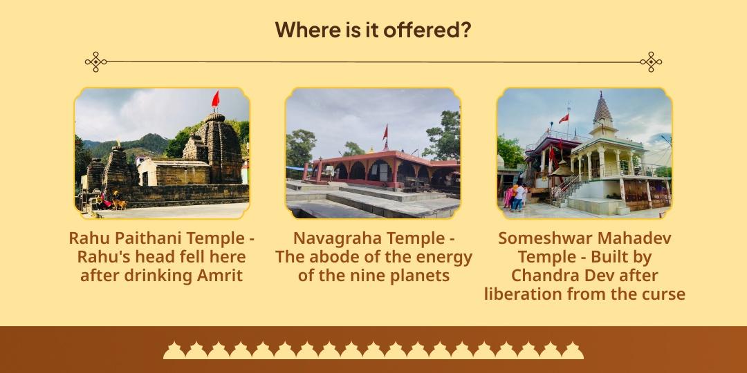 Mahalaya Amavasya Kundali 9 Grah-Pitru Dosh Shanti 6 Dham Chadhava