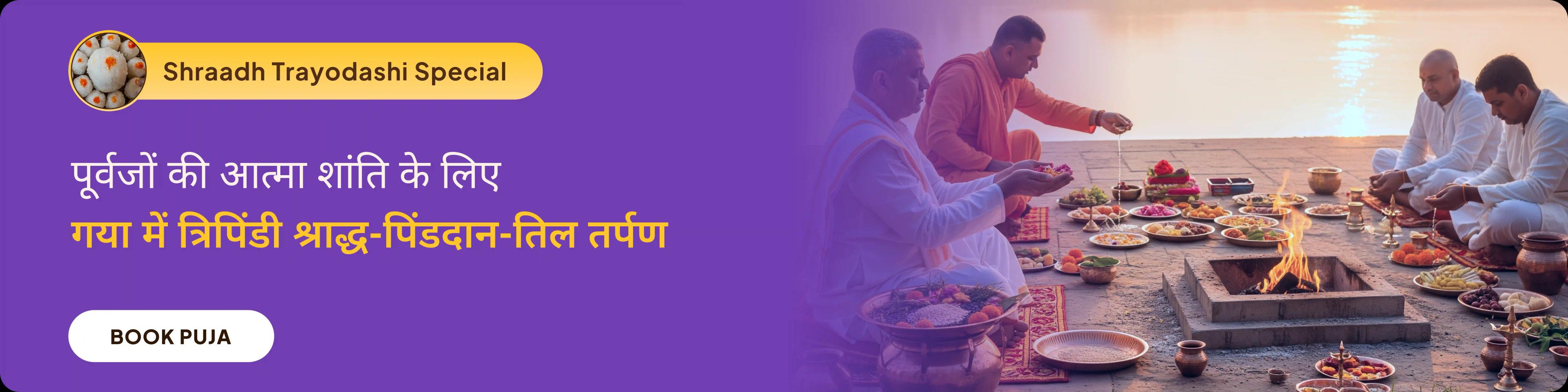 devotee
