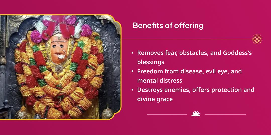 Maha Navratri Raktabeej Vinashini Chamunda Devi Shaktipeeth Chadhava