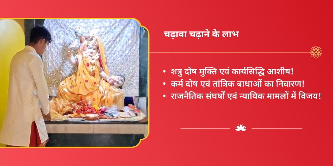 महा नवरात्रि शत्रु नाशक अष्ट महाविद्या बगलामुखी चढ़ावा