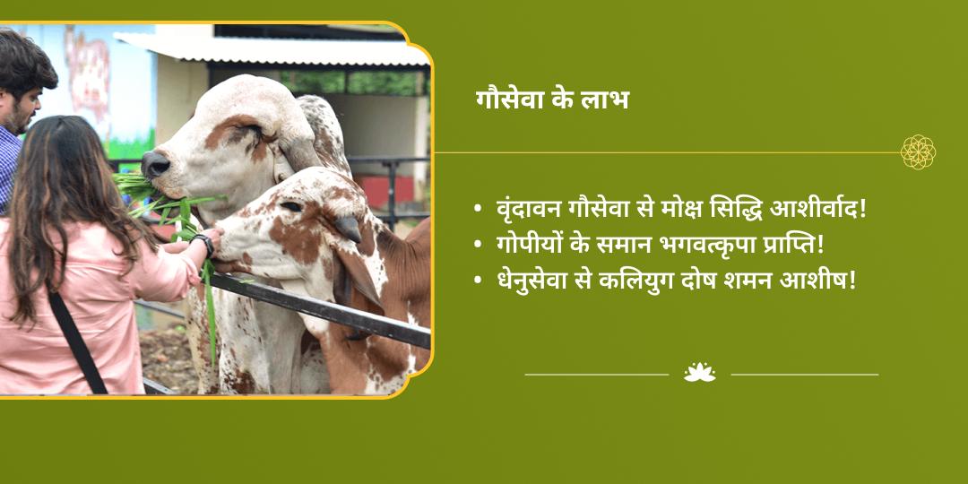 महा नवरात्रि सर्वतीर्थमयी कृष्ण नगरी वृंदावन गौ सेवा