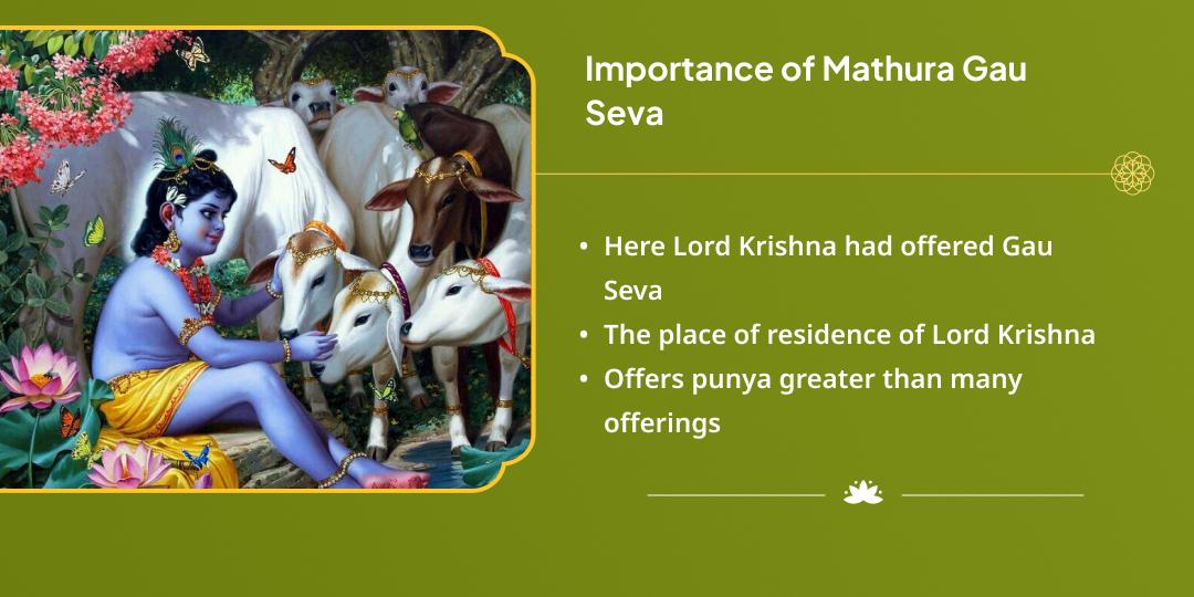 Maha Navratri Sarva Teerthamayi Krishna Nagari Vrindavan Gau Seva