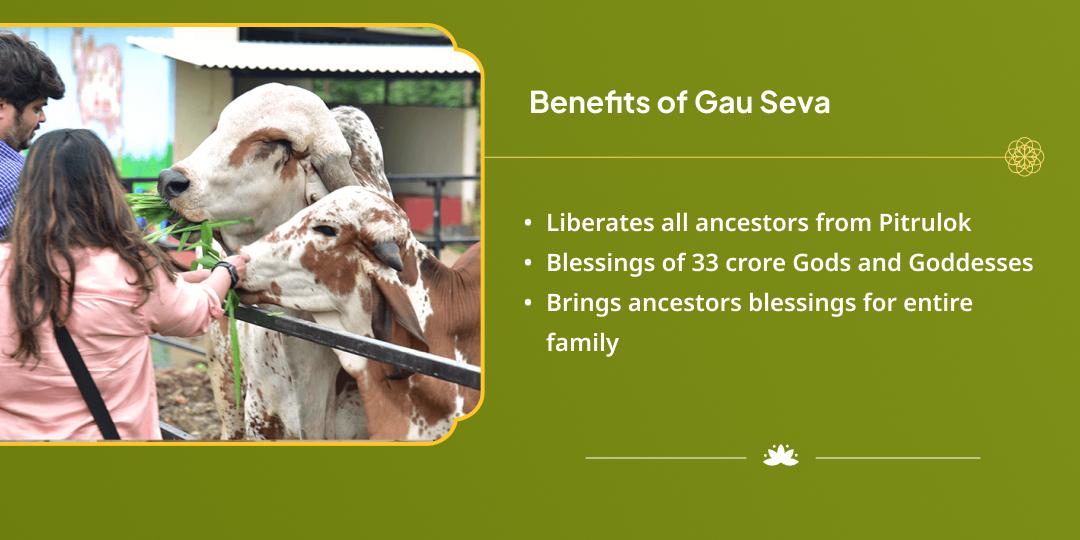 Maha Navratri Sarva Teerthamayi Krishna Nagari Vrindavan Gau Seva