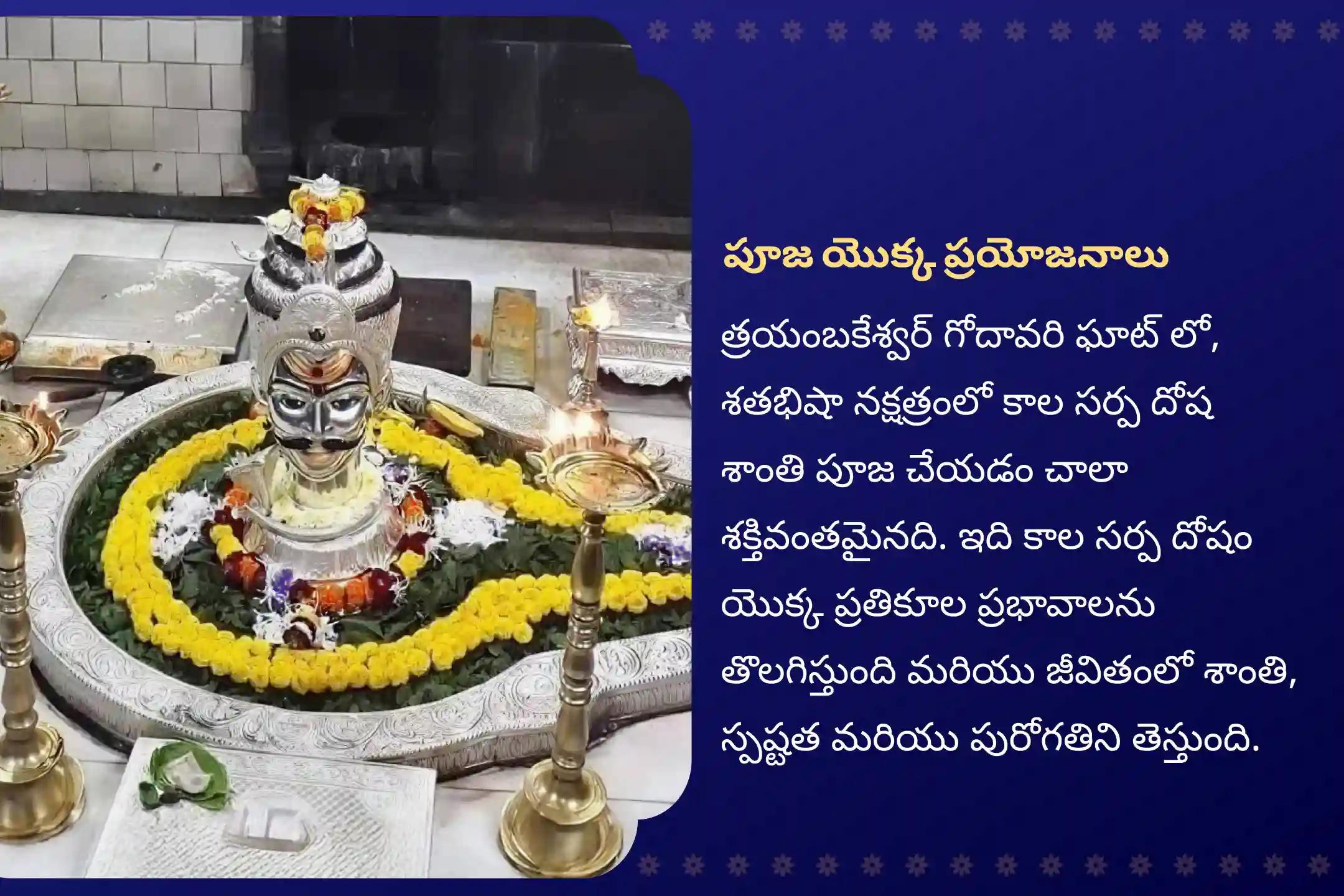 నిర్భయంగా ఉండటానికి మరియు మానసిక స్థిరత్వం పొందడానికి రాహు నక్షత్రం కాల సర్ప దోష ప్రత్యేక త్రయంబకేశ్వర క్షేత్రంలో కాల సర్ప దోష శాంతి పూజలో పాల్గొనండి