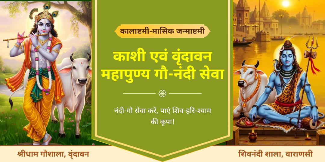 वर्षों बाद बनने वाला दुर्लभ संयोग - कलाष्टमी, सोमवार एवं मासिक जन्माष्टमी महायोग पर काशी में नंदी सेवा एवं  वृंदावन में गौ सेवा करें।  