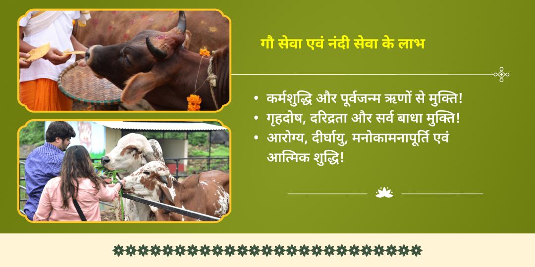 कालाष्टमी-मासिक जन्माष्टमी काशी एवं वृंदावन महापुण्य गौ-नंदी सेवा