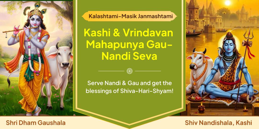 Receive infinite punya and the blessings of 33 crore deities with Gau-Nandi Seva at Moksha Nagari Kashi & Krishnabhumi Vrindavan! 