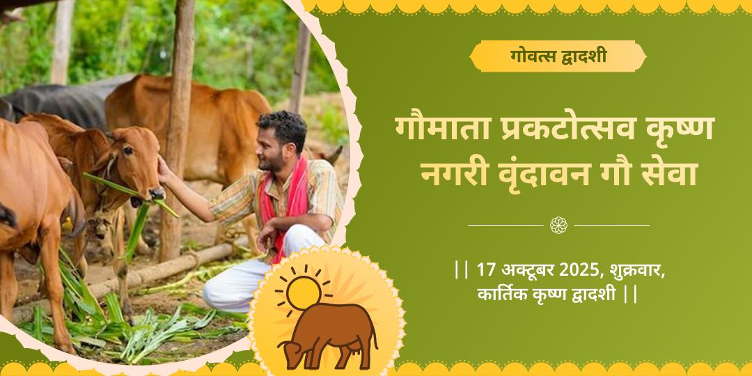 दिवाली महोत्सव प्रारंभ गोवत्स द्वादशी गौमाता प्रकटोत्सव वृंदावन गौ सेवा