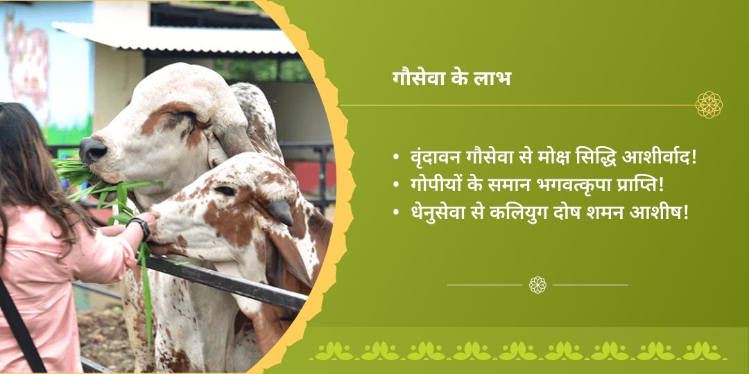 दिवाली महोत्सव प्रारंभ गोवत्स द्वादशी गौमाता प्रकटोत्सव वृंदावन गौ सेवा