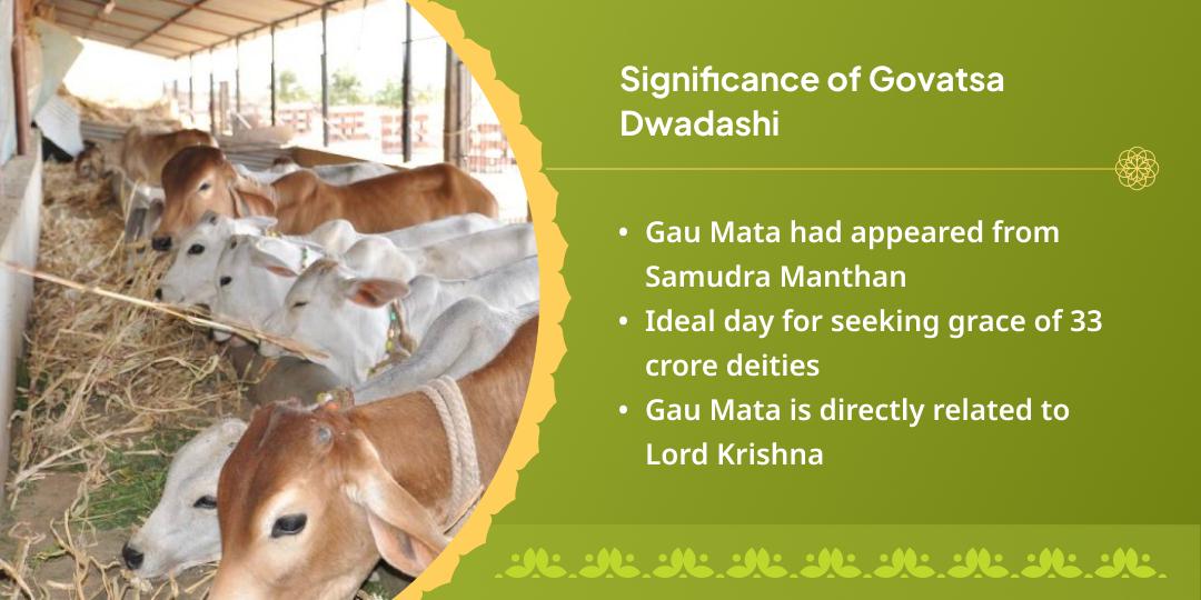 Diwali Mahotsav Prarambh Govatsa Dwadashi Gaumata prakatyotsav Vrindavan Gau Seva