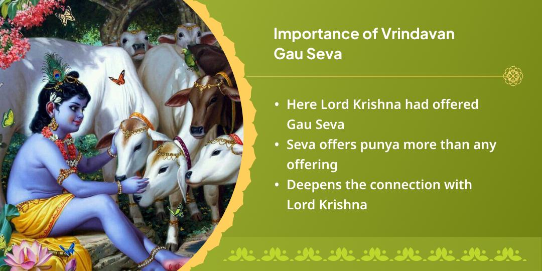 Diwali Mahotsav Prarambh Govatsa Dwadashi Gaumata prakatyotsav Vrindavan Gau Seva
