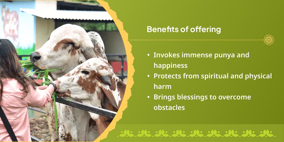 Diwali Mahotsav Prarambh Govatsa Dwadashi Gaumata prakatyotsav Vrindavan Gau Seva