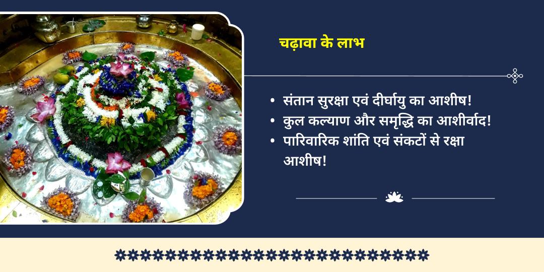 अहोई अष्टमी संतान सुख एवं वृद्धि गौरी केदारेश्वर चढ़ावा