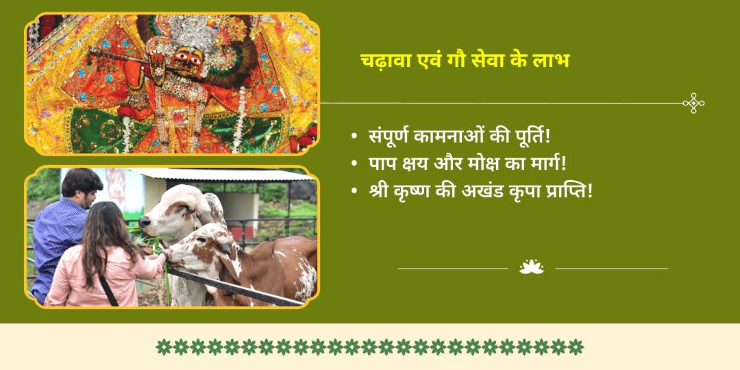 नरक चतुर्दशी नरकासुर वध वृंदावन मदन मोहन चढ़ावा एवं गौ सेवा