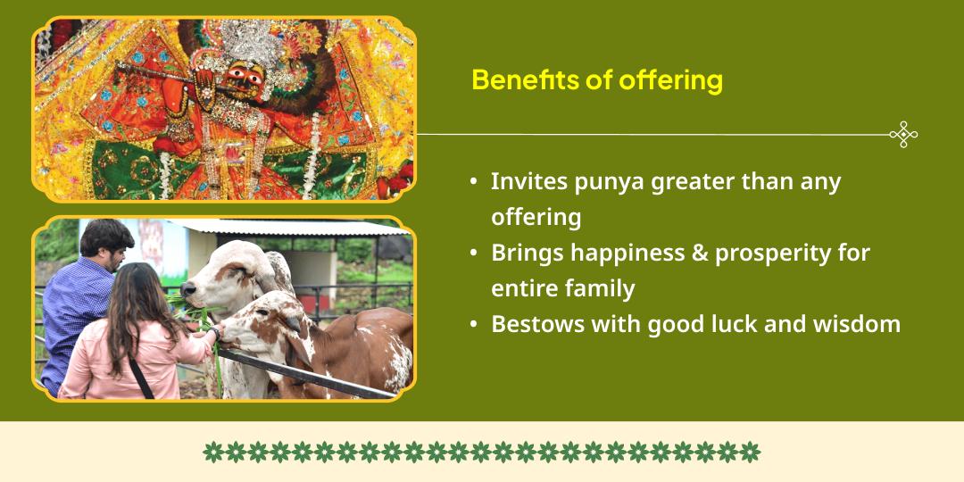 Narak Chaturdashi Narkasur Vadh Vrindavan Madan Mohan Chadhava & Gau Seva