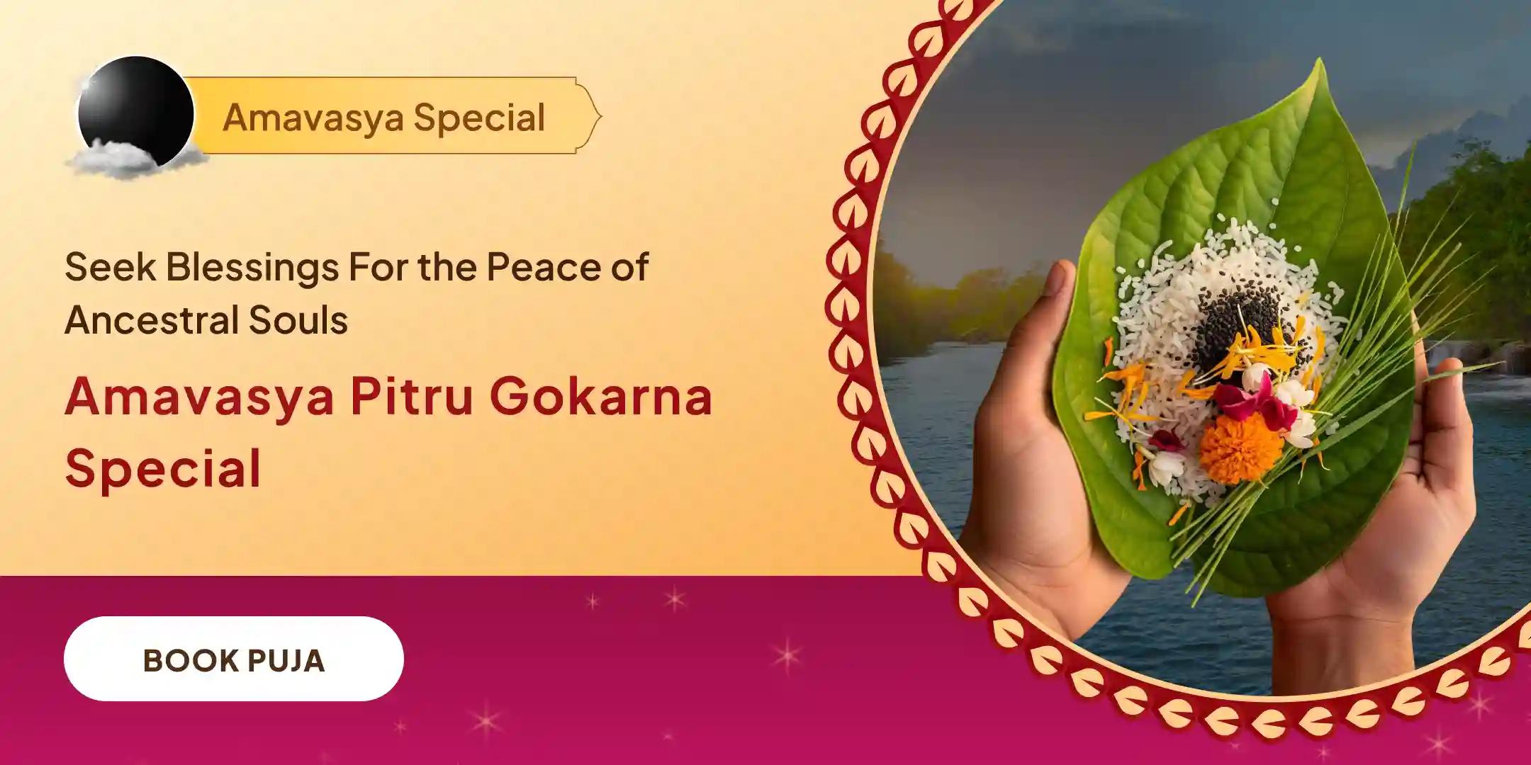 Narayan Bali Puja, Tripindi shraadh Pitru Dosh Shanti Puja