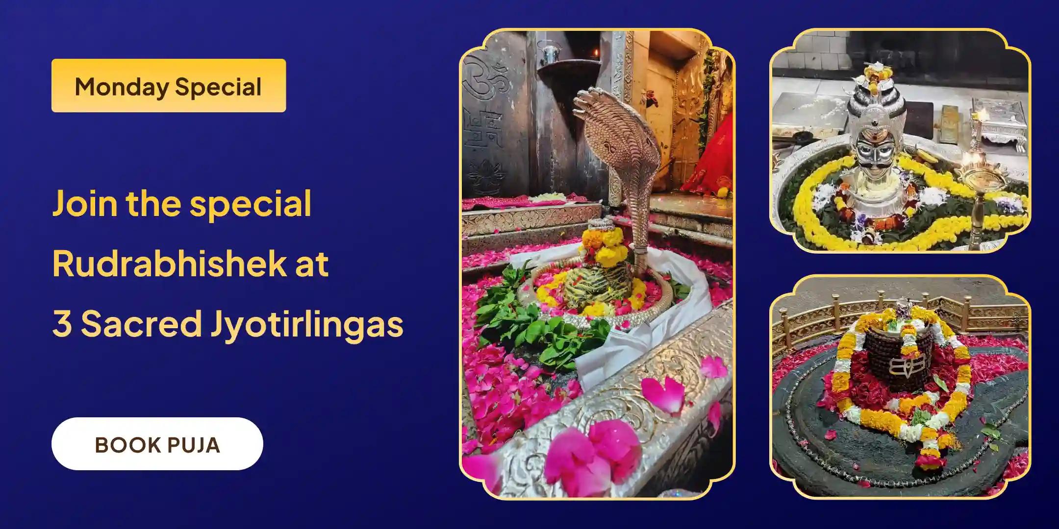 3 - Jyotirlinga - Trimbakeshwar, Omkareshwar and Ghrishneshwar Rudrabhishek and Rudra Homam