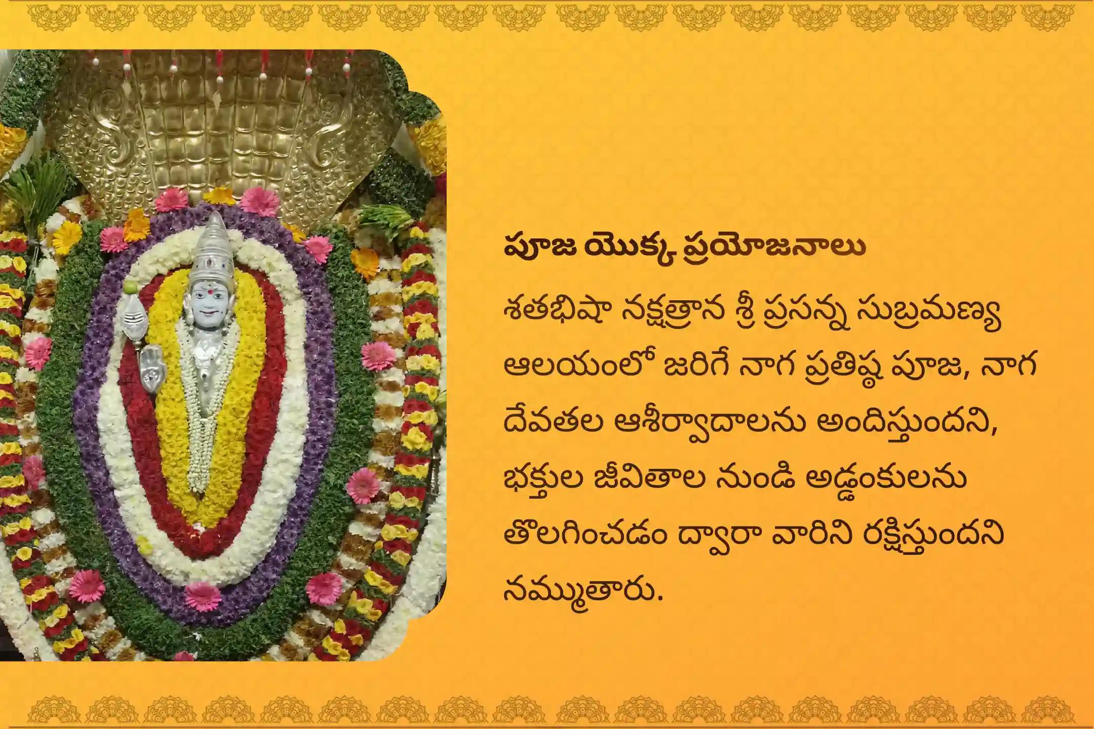 నాగ దేవత నుండి ఆశీర్వాదాలు పొందడానికి రాహు నక్షత్రం ప్రత్యేక నాగ ప్రతిష్ఠ పూజలో పాల్గొనండి