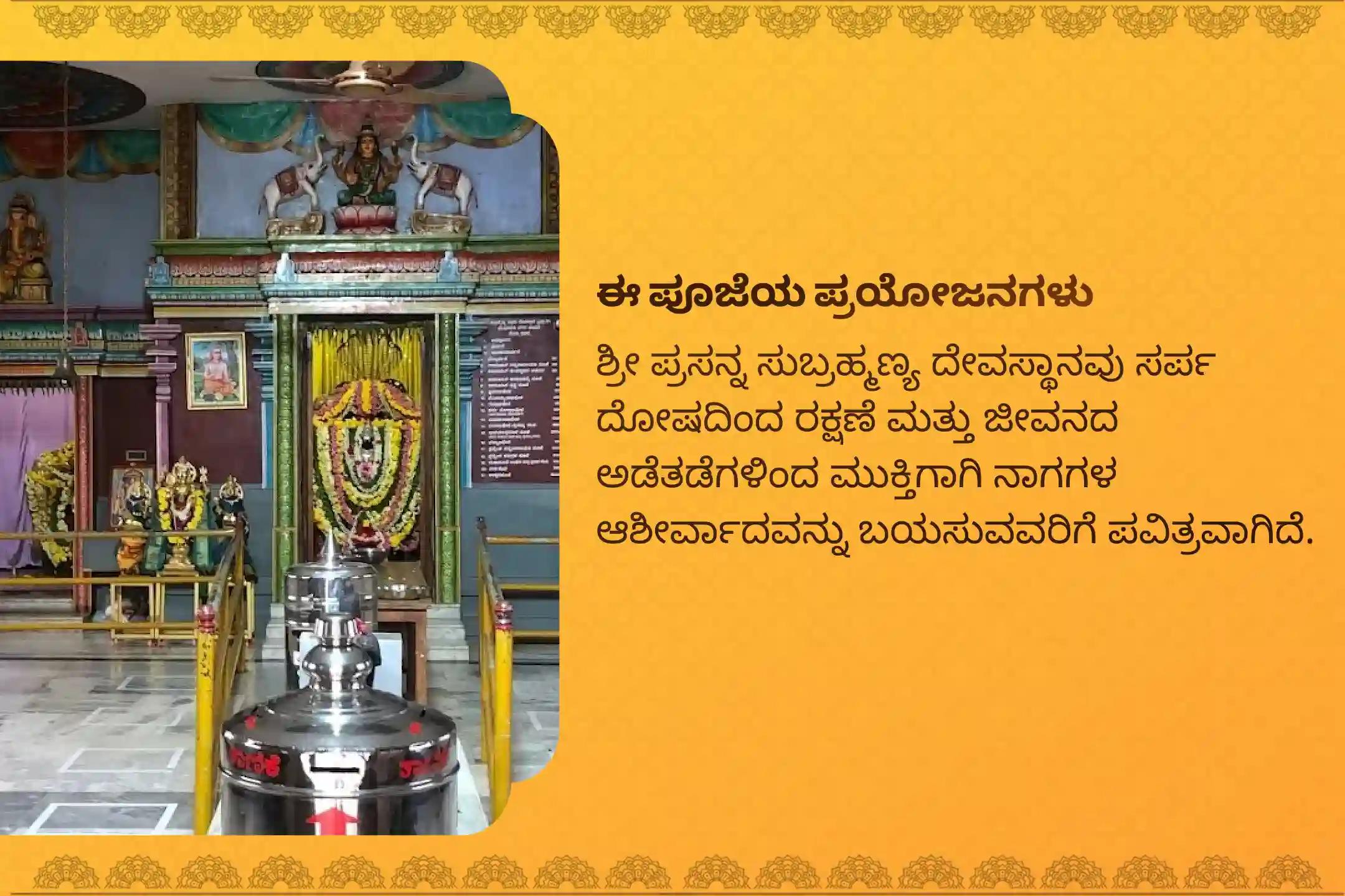 ನಾಗ ದೇವತೆಯಿಂದ ಆಶೀರ್ವಾದ ಪಡೆಯಲು ರಾಹುವಿನ ನಕ್ಷತ್ರ ವಿಶೇಷ ನಾಗ ಪ್ರತಿಷ್ಠಾ ಪೂಜೆಯಲ್ಲಿ ಭಾಗವಹಿಸಿ.