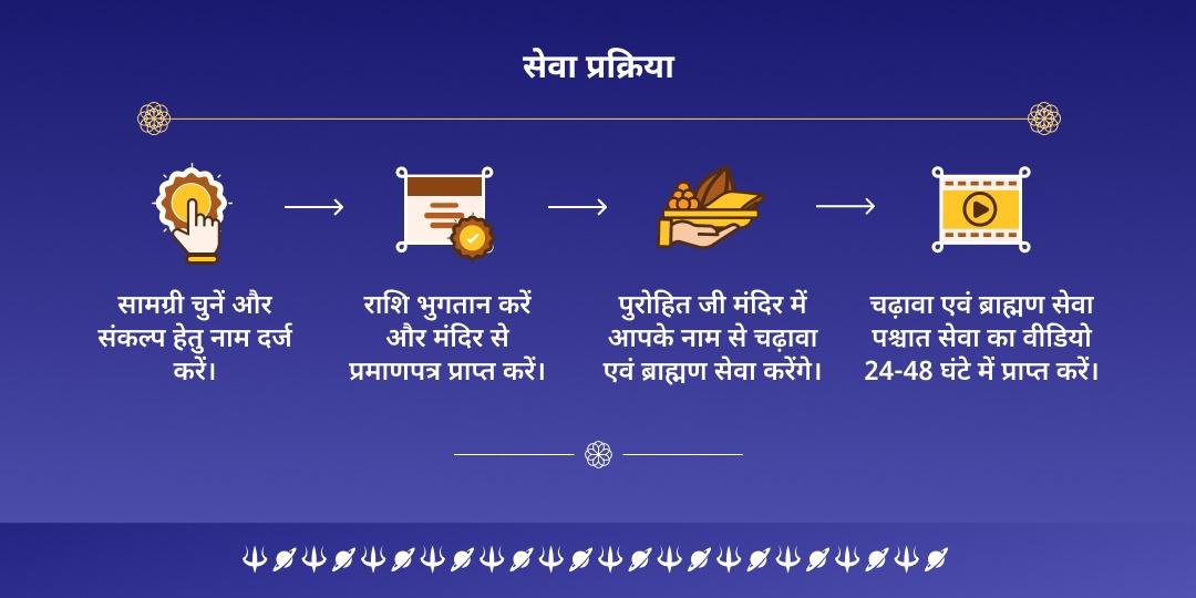 शनि एकादशी कुंडली दोष शांति नवग्रह शनि चढ़ावा एवं ब्राह्मण सेवा