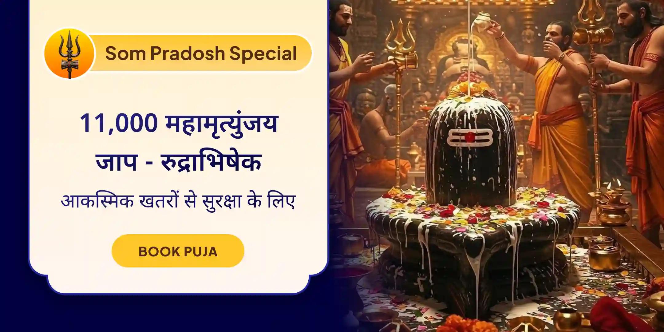 11,000 महामृत्युंजय जाप और रुद्राभिषेक