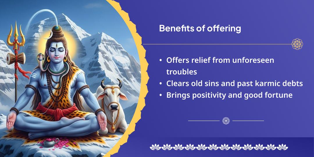 Som Pradosh Vrat Someshwar-Chandreshwar Mahadev Chadhava & Nandi Seva