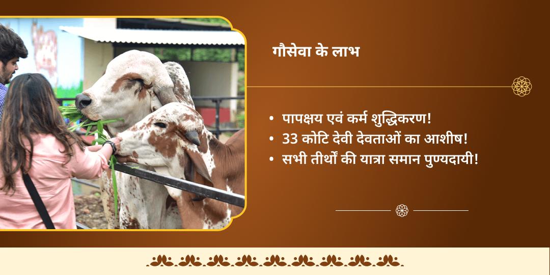 कार्तिक पूर्णिमा मोक्ष अमृत प्राप्ति तीर्थराज प्रयाग गौ सेवा