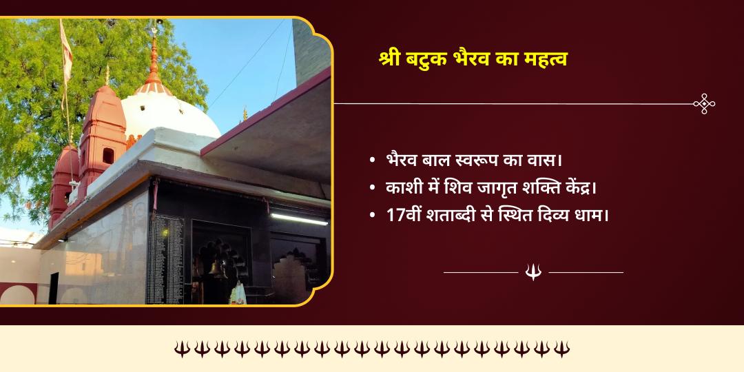 काल भैरव जयंती काशी जरूरतमंद एवं भैरव वाहन श्वान सेवा