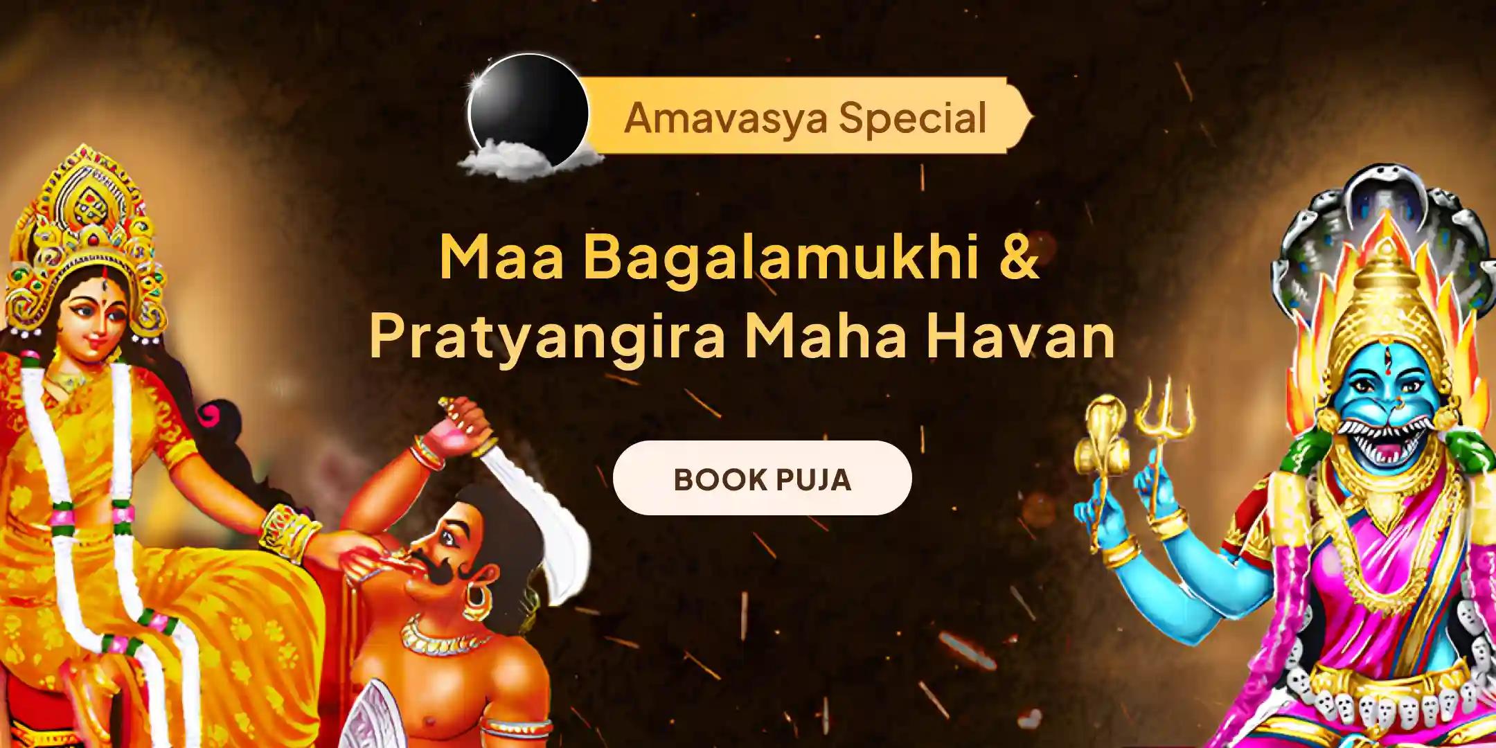 Maa Bagalamukhi-Pratyangira Kavach Path, 1,25,000 Bagalamukhi Mool Mantra Jaap and Havan