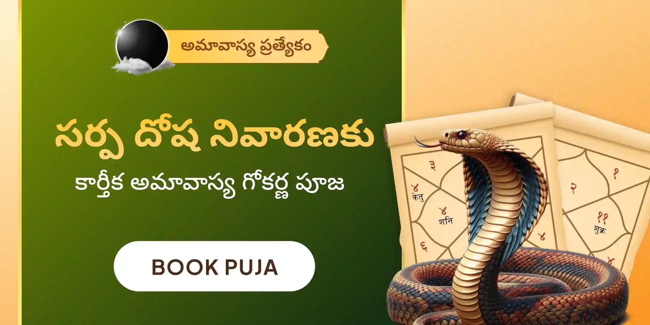 ఆశ్లేష బలి పూజ