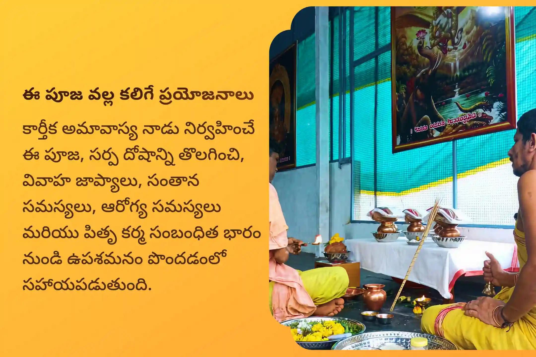 నాగ దోష నివారణకు కార్తీక అమావాస్య గోకర్ణ ప్రత్యేక ఆశ్లేష బలి పూజలో పాల్గొనండి.