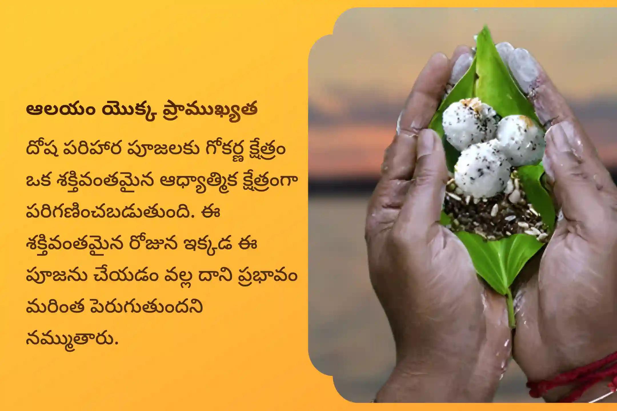 నాగ దోష నివారణకు కార్తీక అమావాస్య గోకర్ణ ప్రత్యేక ఆశ్లేష బలి పూజలో పాల్గొనండి.