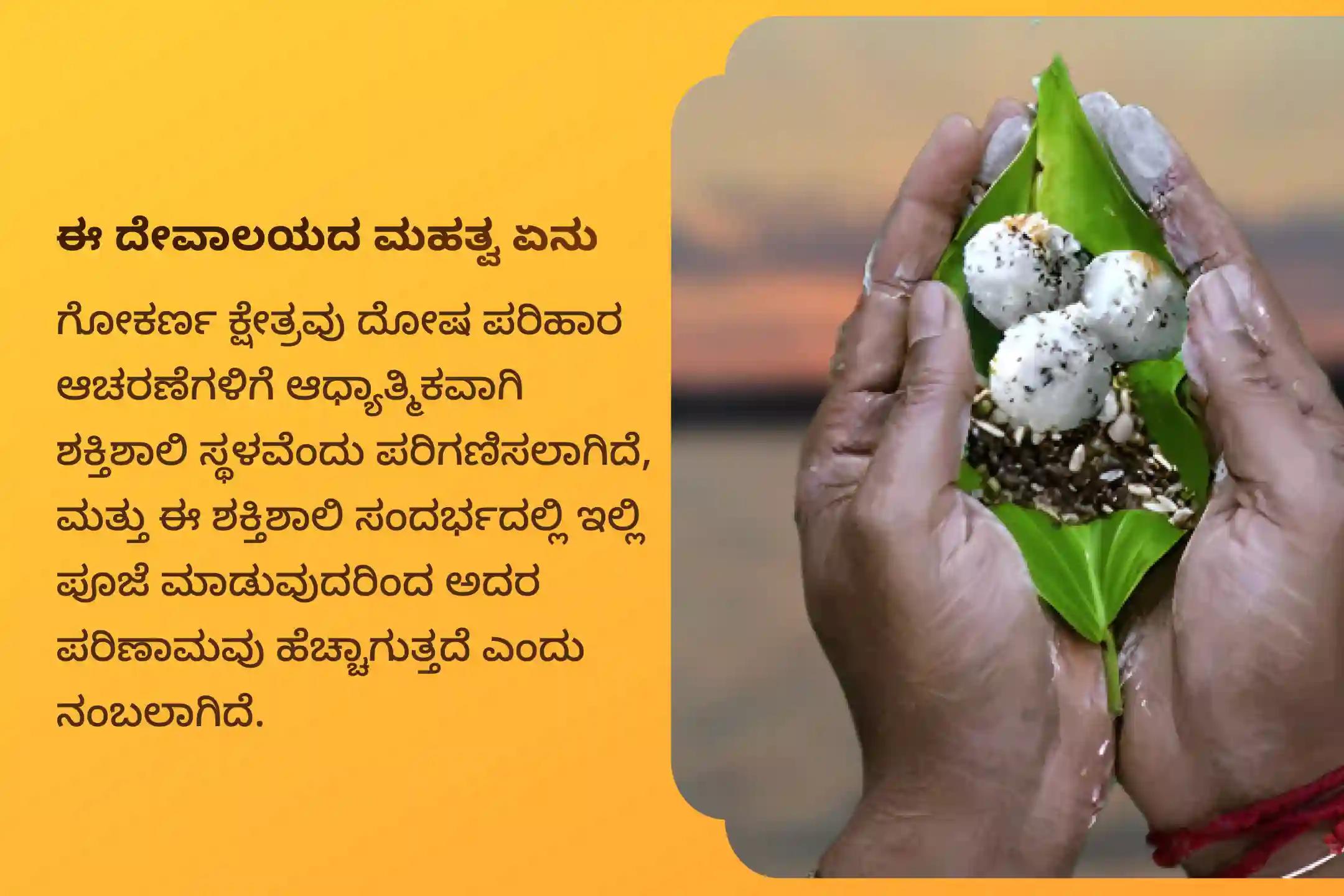 ನಾಗ ದೋಷ ನಿವಾರಣೆಗಾಗಿ ಕಾರ್ತಿಕ ಅಮಾವಾಸ್ಯೆ ಗೋಕರ್ಣ ವಿಶೇಷ ಆಶ್ಲೇಷ ಬಲಿ ಪೂಜೆಯಲ್ಲಿ ಪಾಲ್ಗೊಳ್ಳಿ.