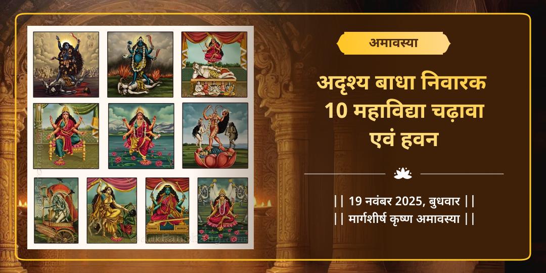 अदृश्य बाधा निवारक 10 महाविद्या चढ़ावा एवं हवन﻿