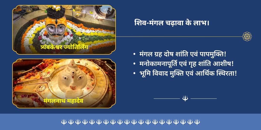 भौम प्रदोष महायोग त्र्यंबकेश्वर एवं मंगलनाथ द्विमंदिर चढ़ावा