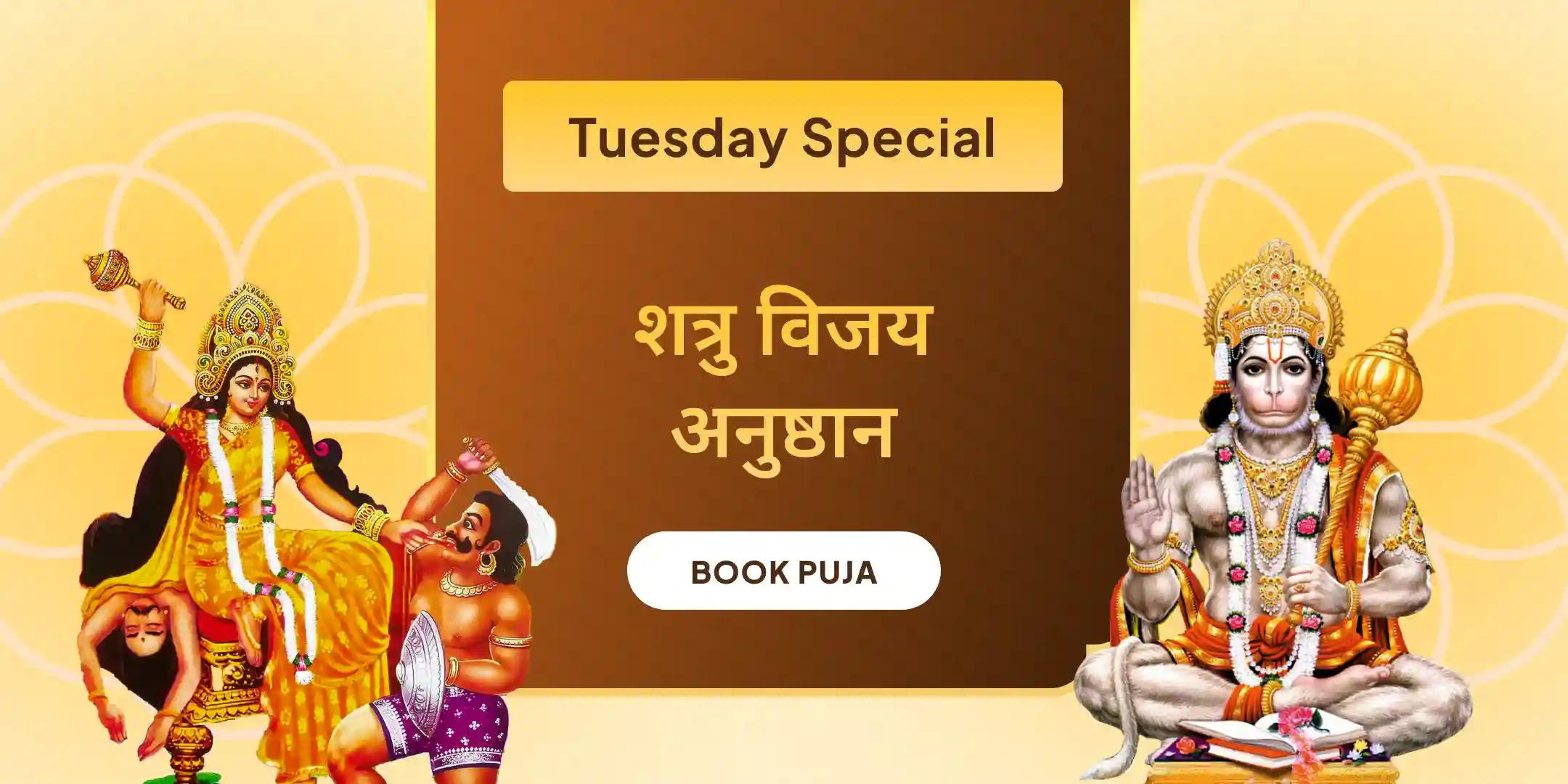 माँ बगलामुखी शत्रु बुद्धि विनाशिनी यज्ञ एवं हनुमान शत्रुंजय पूजन